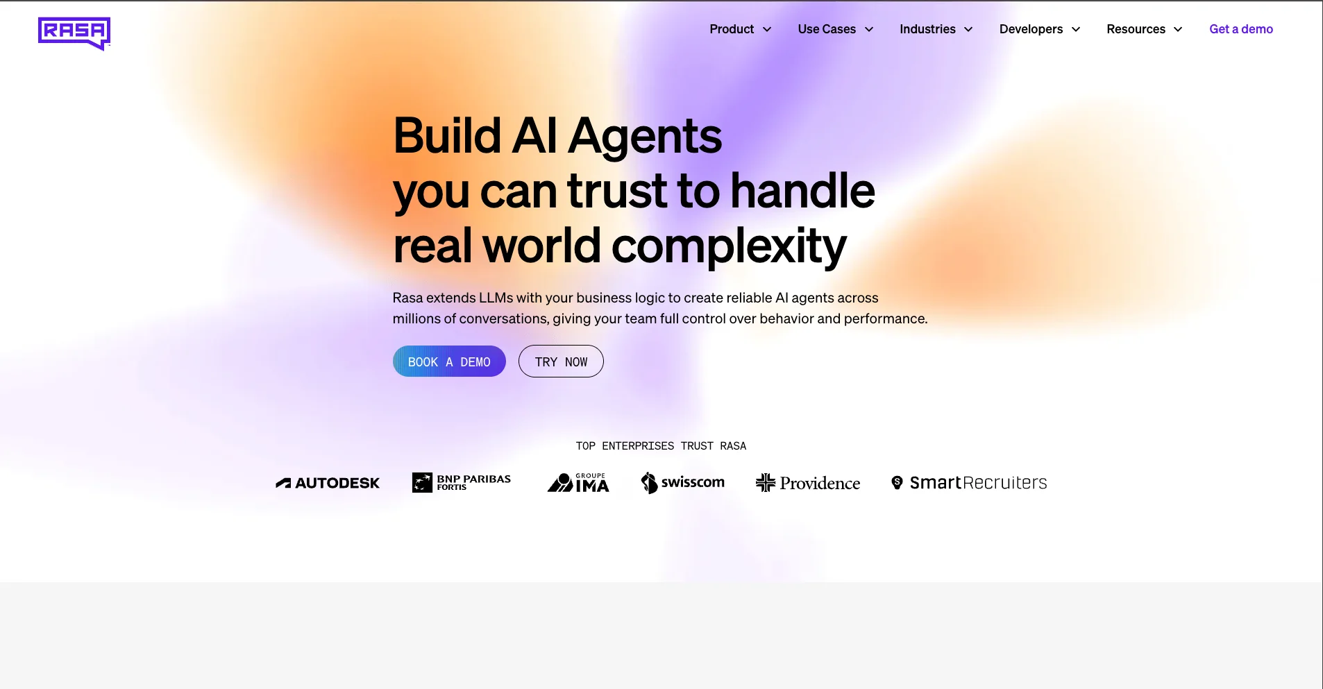 Home page of Rasa, showing “Build AI Agents you can trust to handle real world complexity,” with “Book a demo” / “Try now” buttons and enterprise logos.