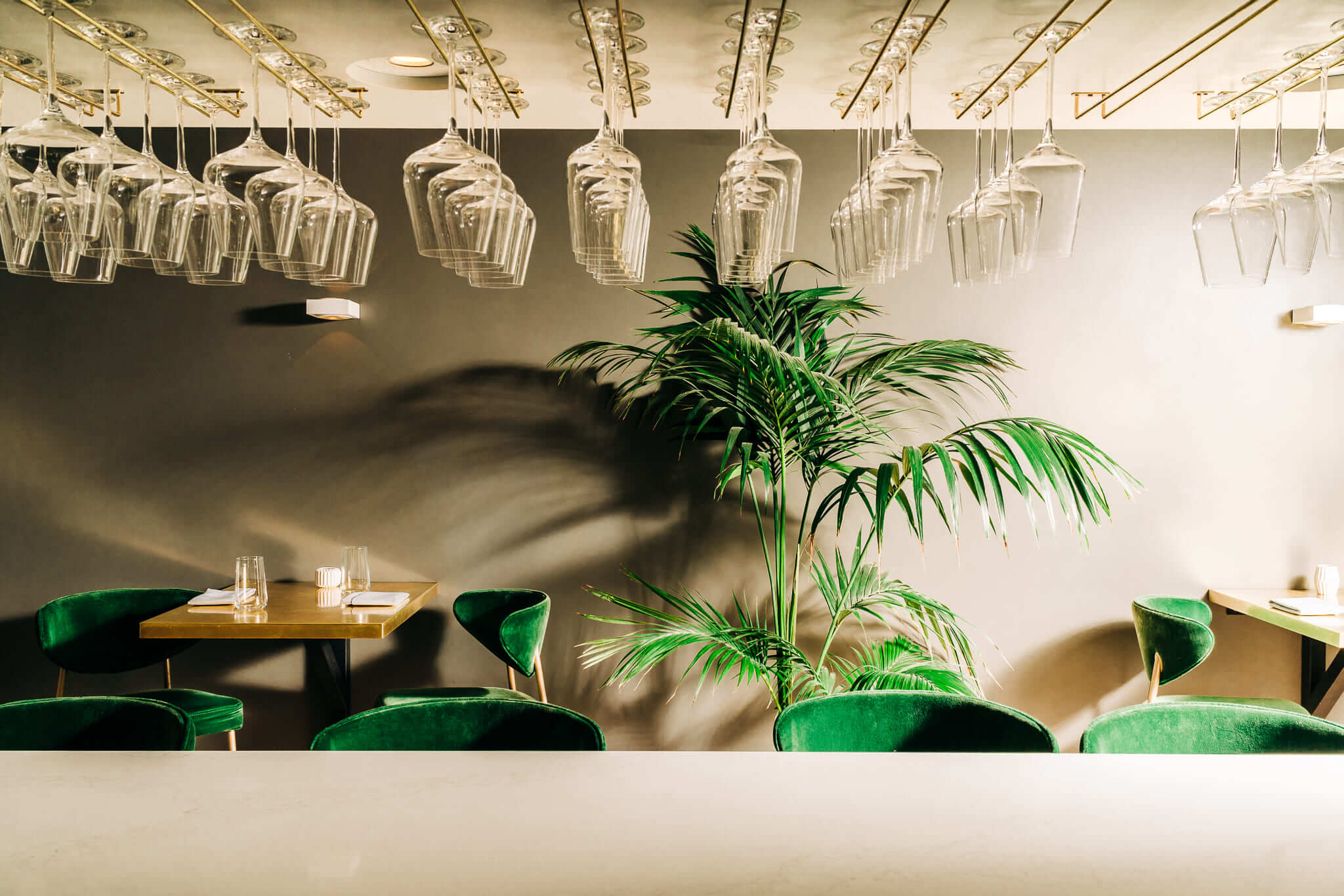 allora-lush-greenery-inside