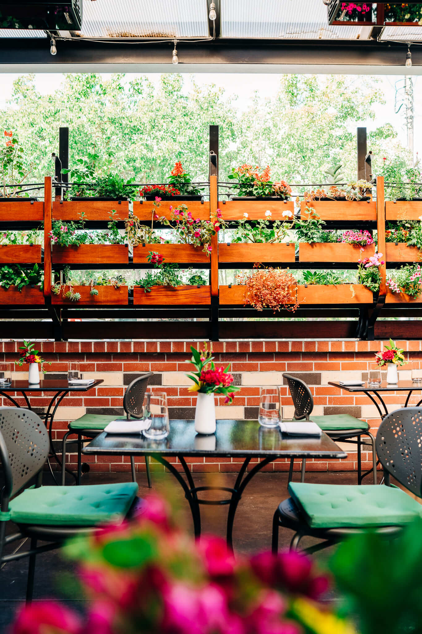 allora-lush-green-patio