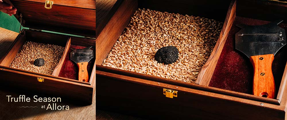 The Chef’s Perspective: The Allure of Truffles