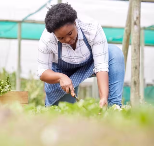 Person gardening with an apron on
