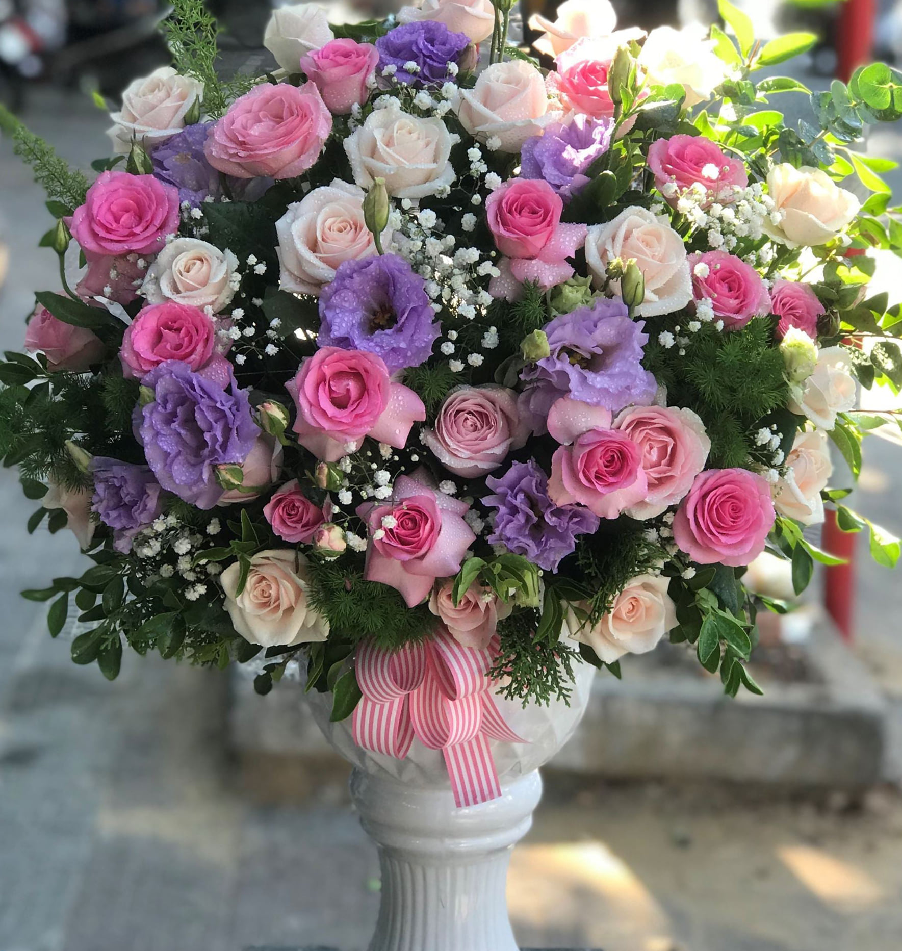 Hoa cát tường xanh