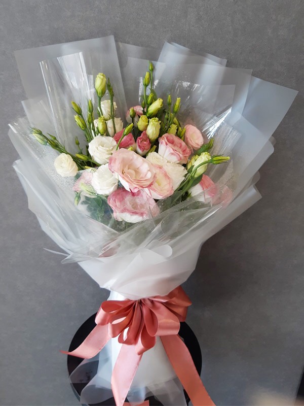 Hoa cát tường hồng