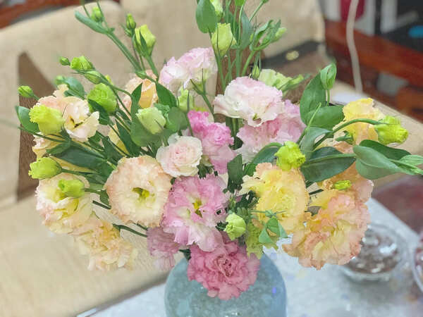 Mua hoa lan tường