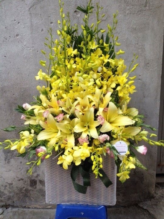 lẵng hoa chúc mừng 22/12