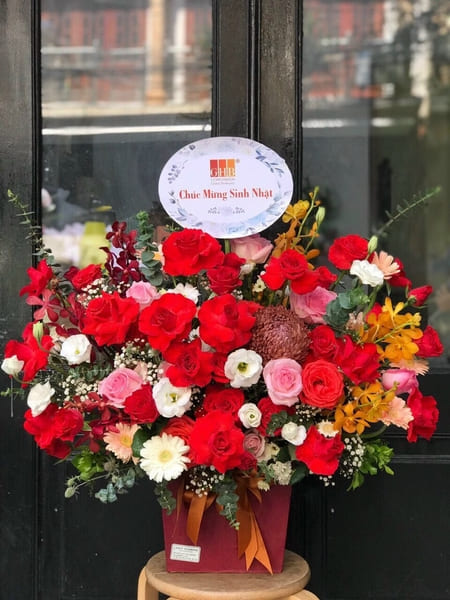 hoa sinh nhật Hà Nội