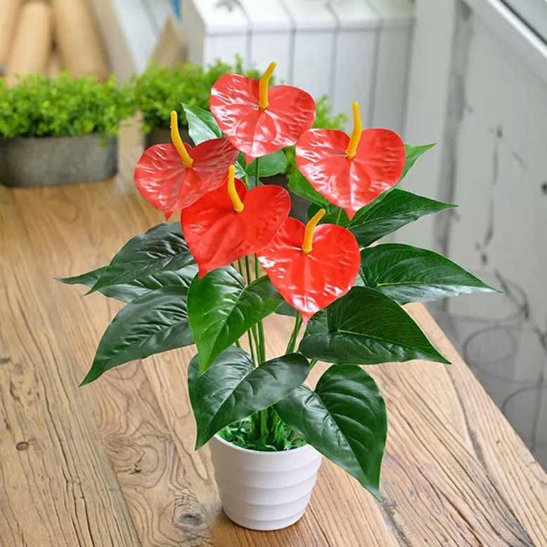 Quà tặng khai trương quán cafe