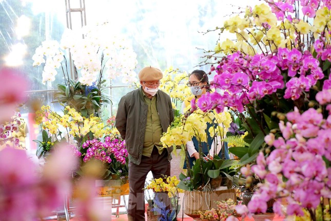 Shop hoa lan hồ điệp đẹp Hồ Chí Minh