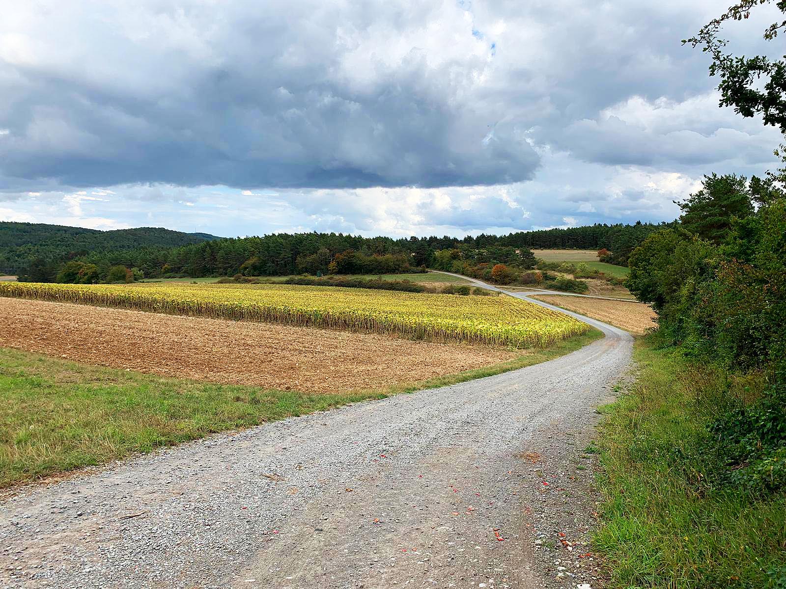 Rhön Herbst Overlanding Tour