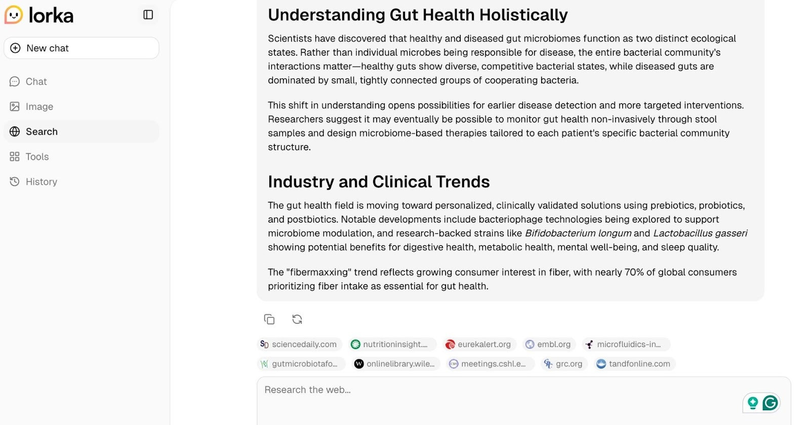 Lorka's Search feature