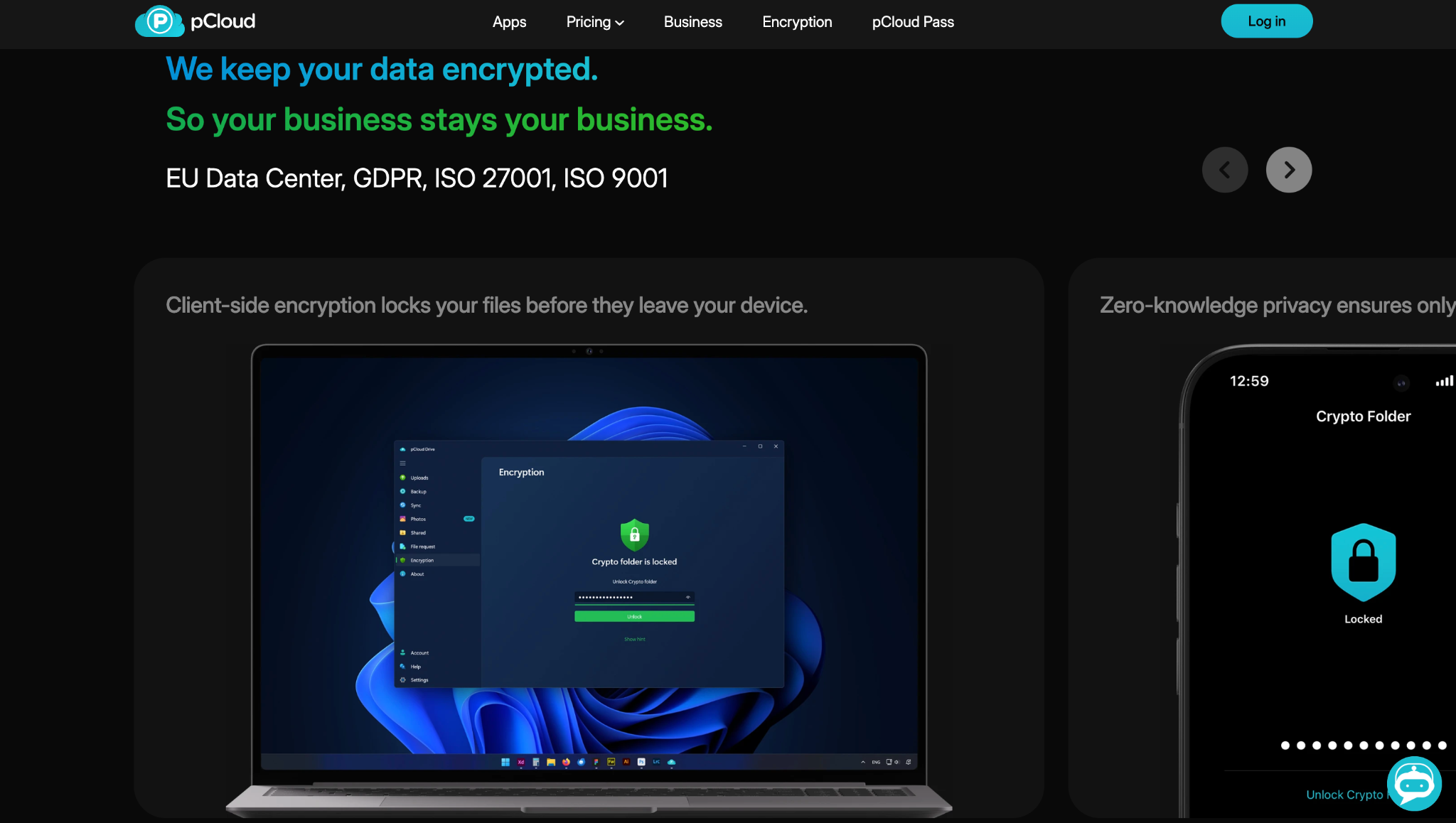 pCloud Business page