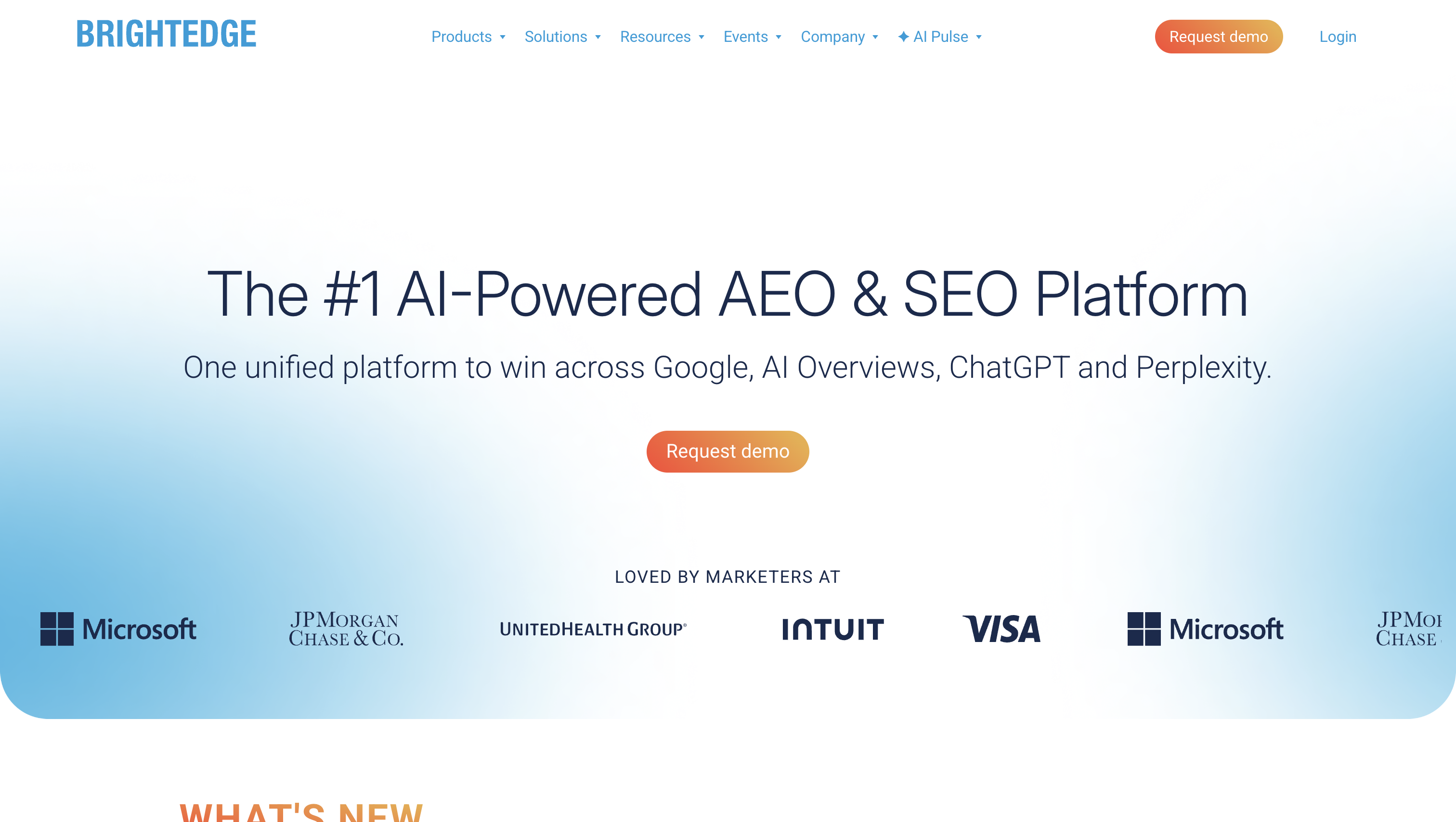 bright edge, best seo platform for b2b teams