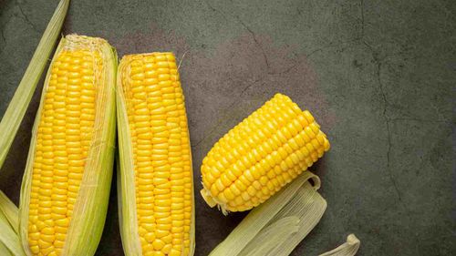 Maize (Corn) HSN Code and GST Rate - 1005: A Detailed Guide