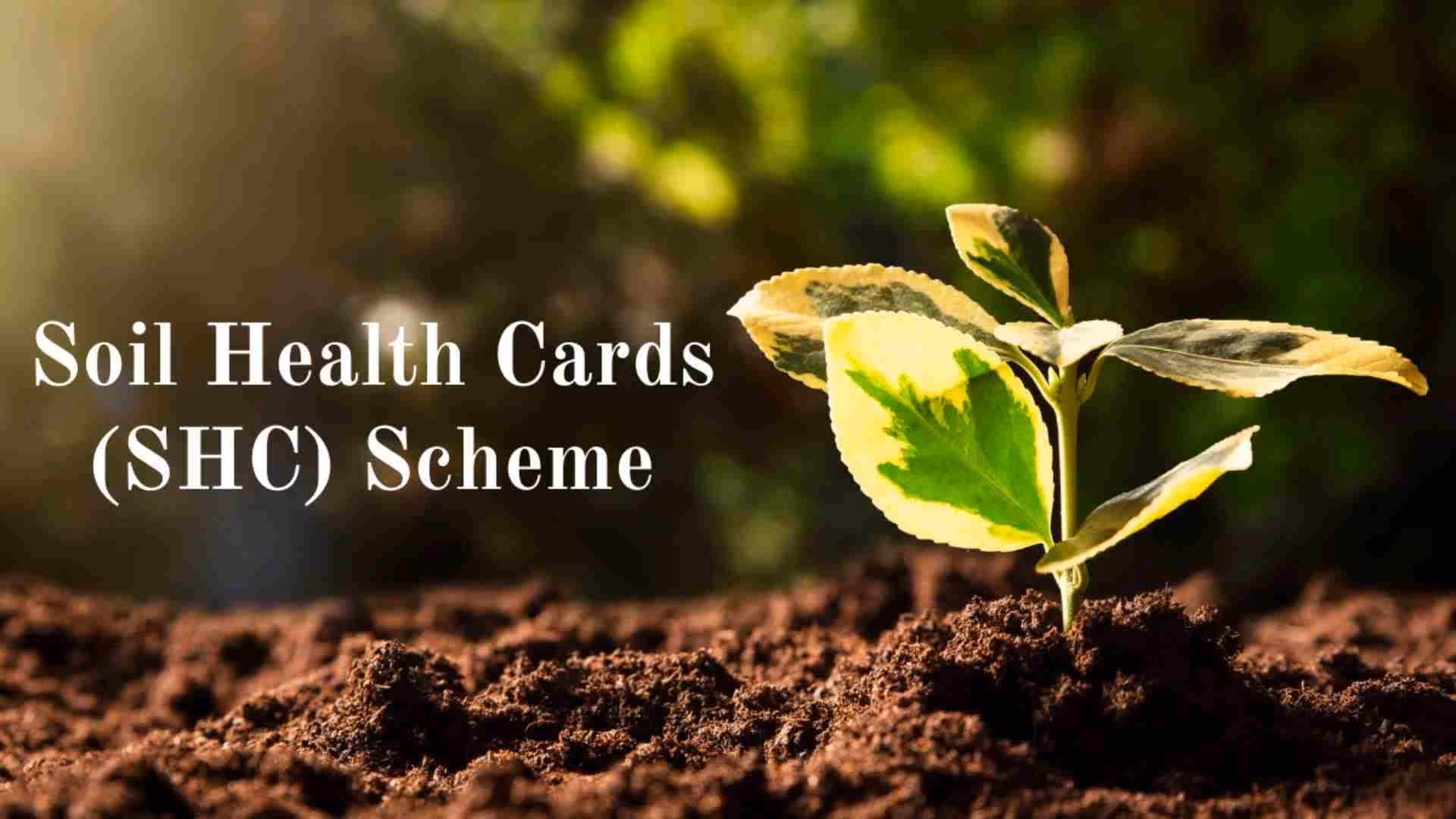 Understanding the Soil Health Card (SHC) Scheme: Parameters, Online Registration, and More