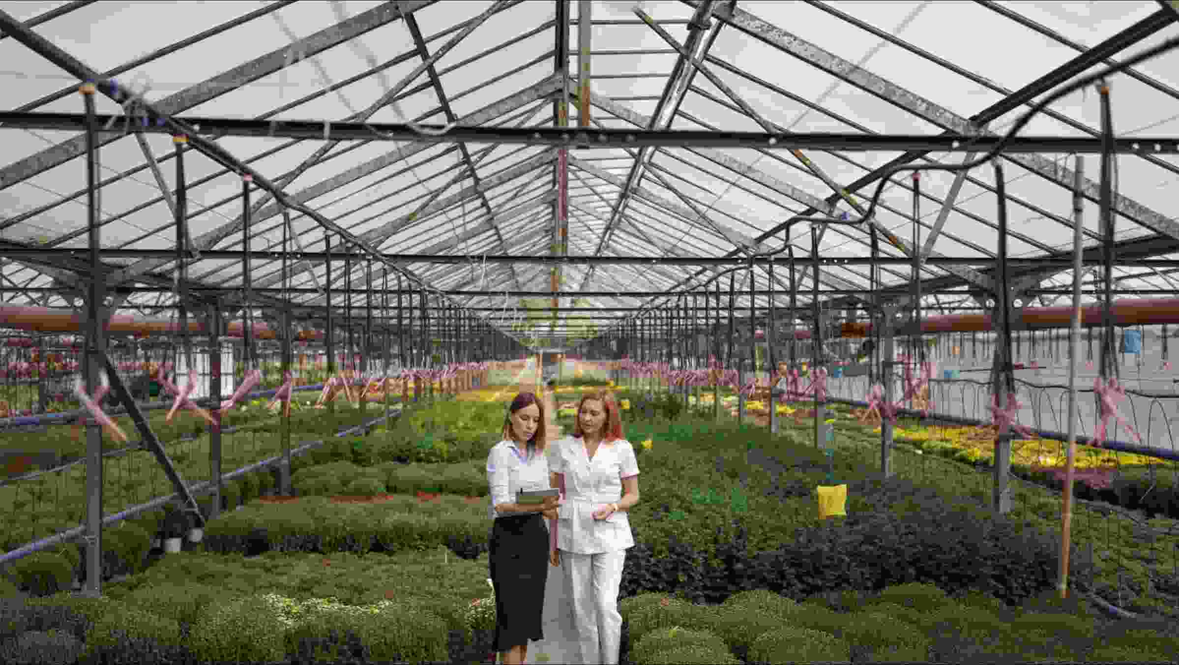 What are Agro based Industries? Types and Examples