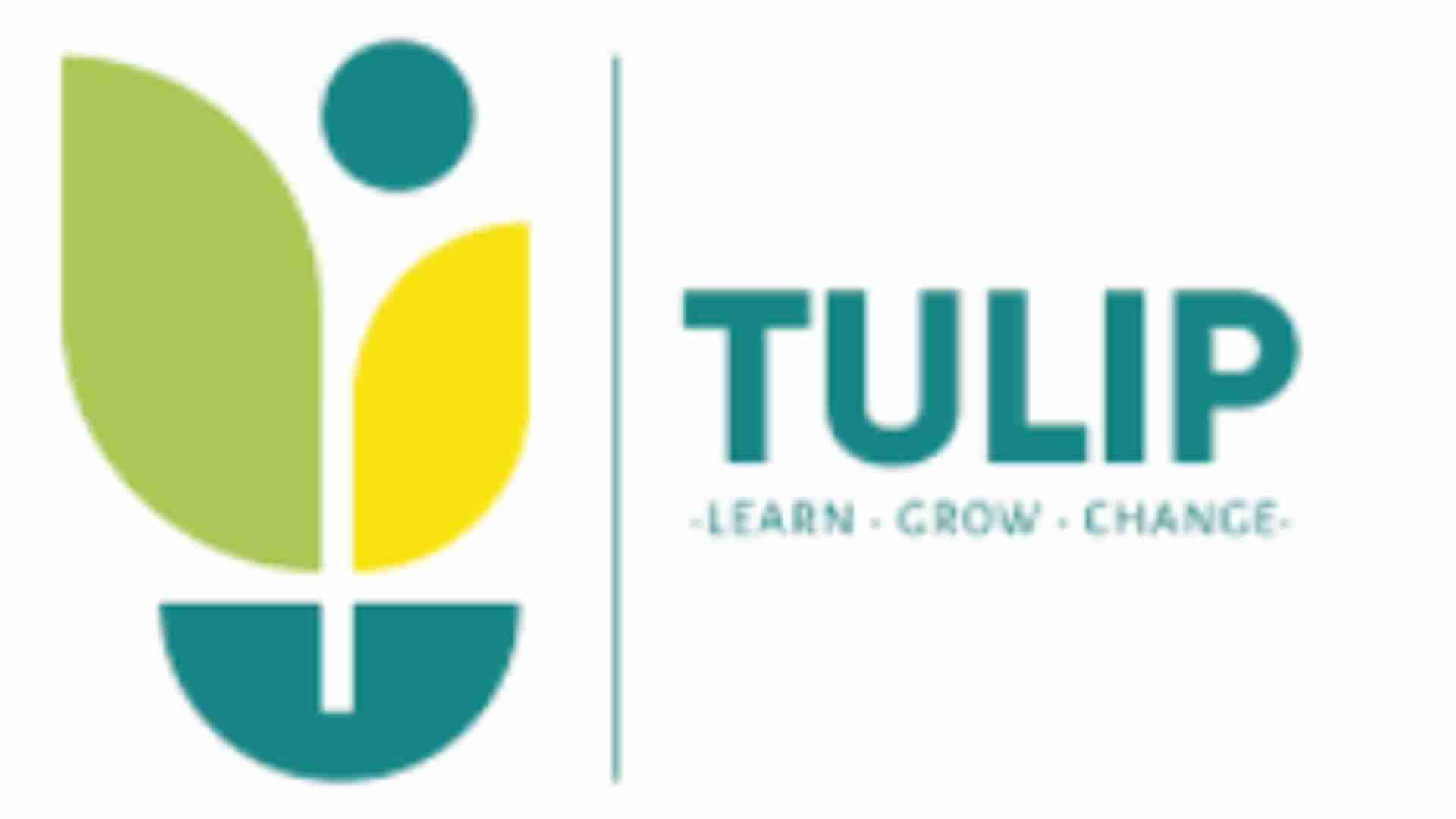 The Urban Learning Internship Program