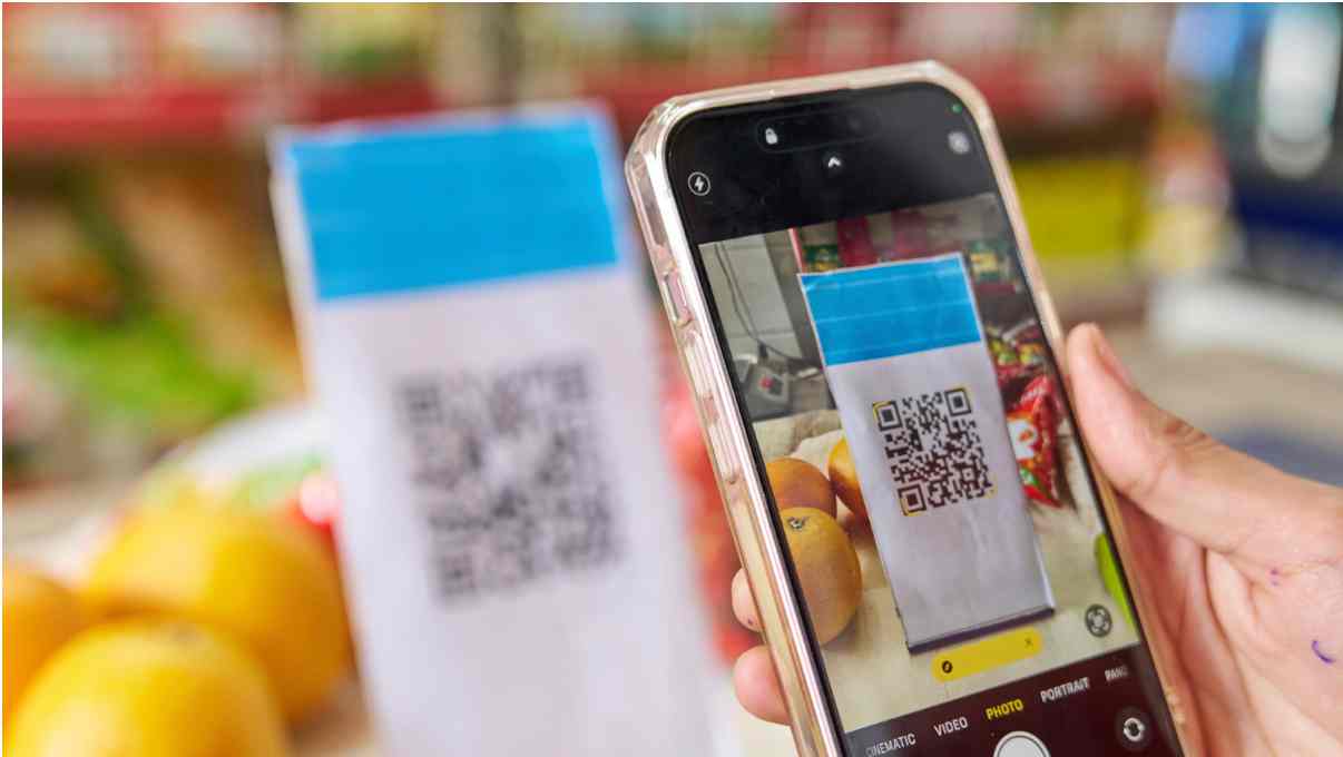 Money Transfer Service Scheme (MTSS) Guidelines in India