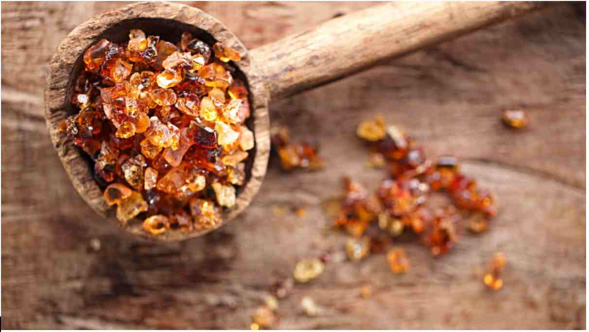 GST Rate & HSN Code for Lac, Gums & Resins (Chapter 13)