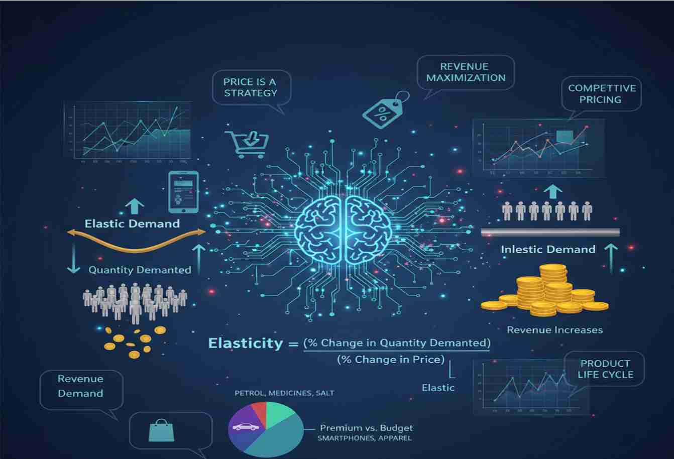 Importance of Elasticity of Demand in Pricing Strategies