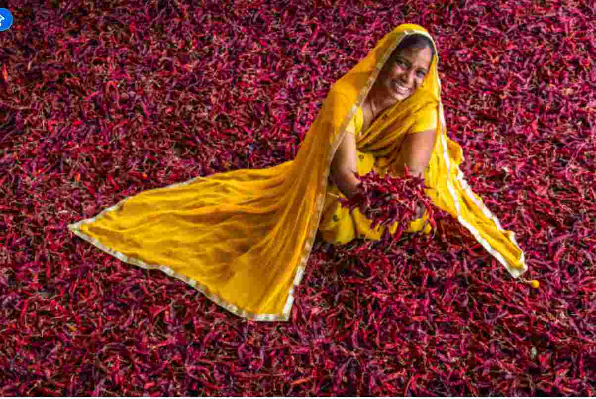 Top Women Welfare Scheme in India to Empower Ladies