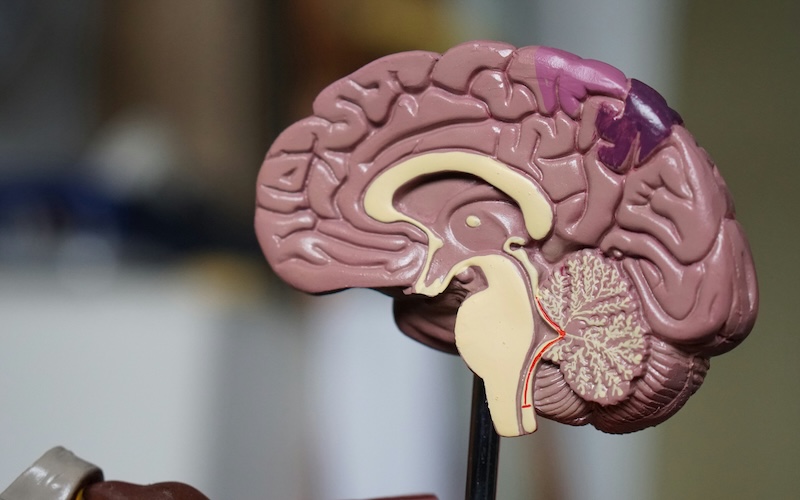 What is psychographic segmentation? The ultimate guide