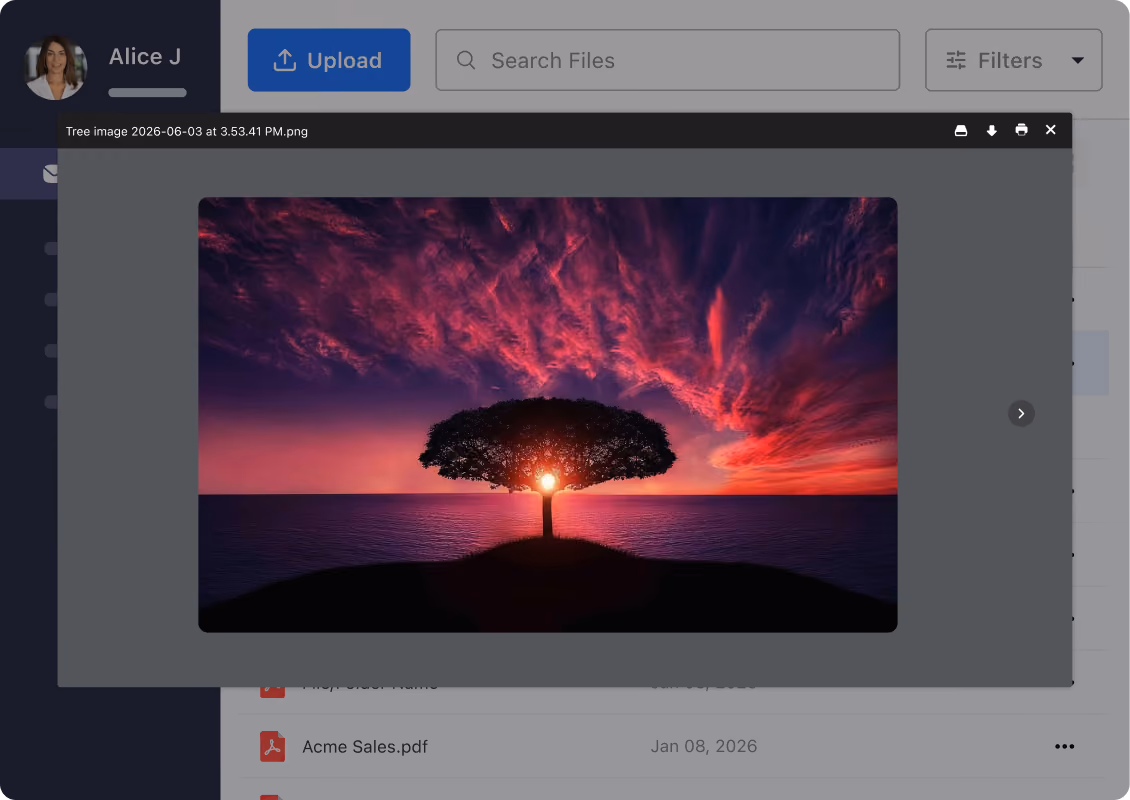 Preview files before downloading
