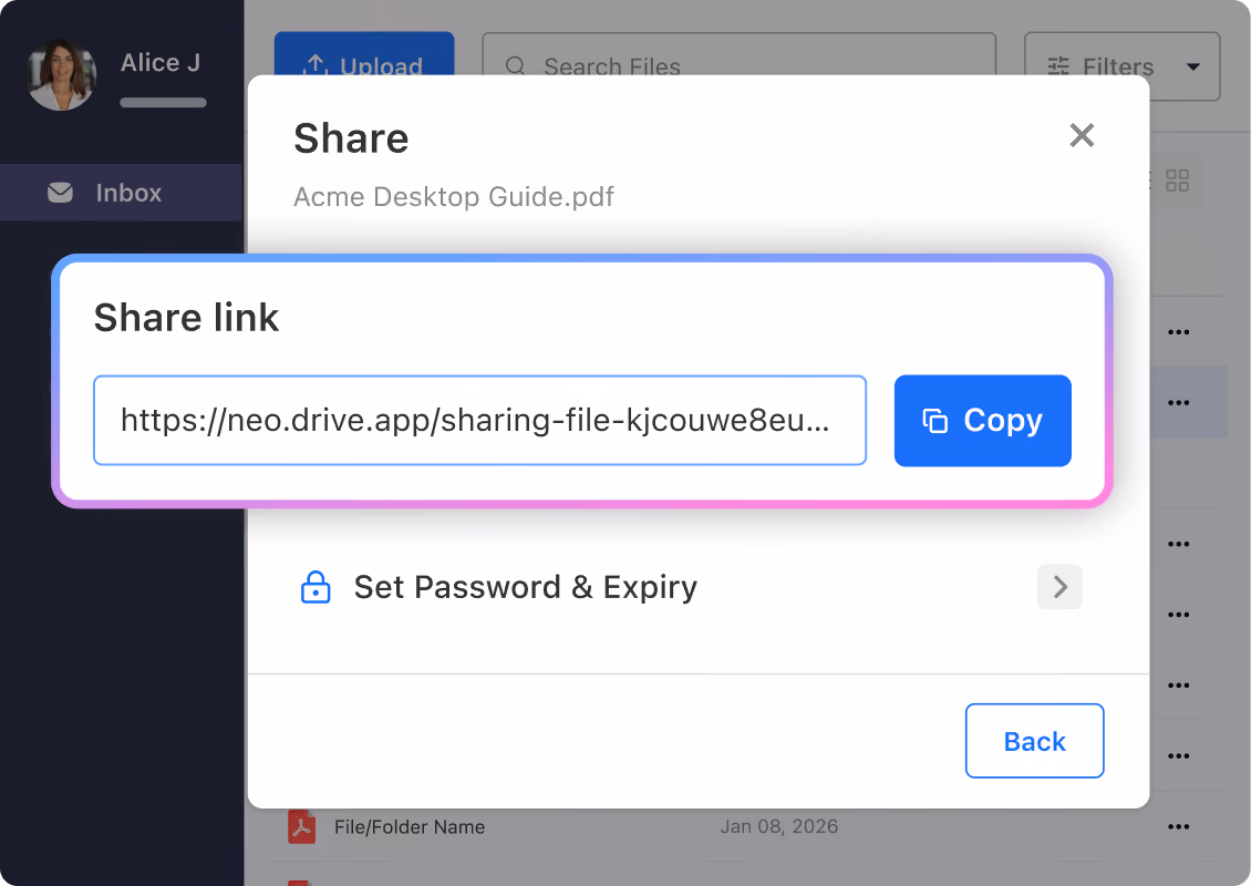 Share files with professional links