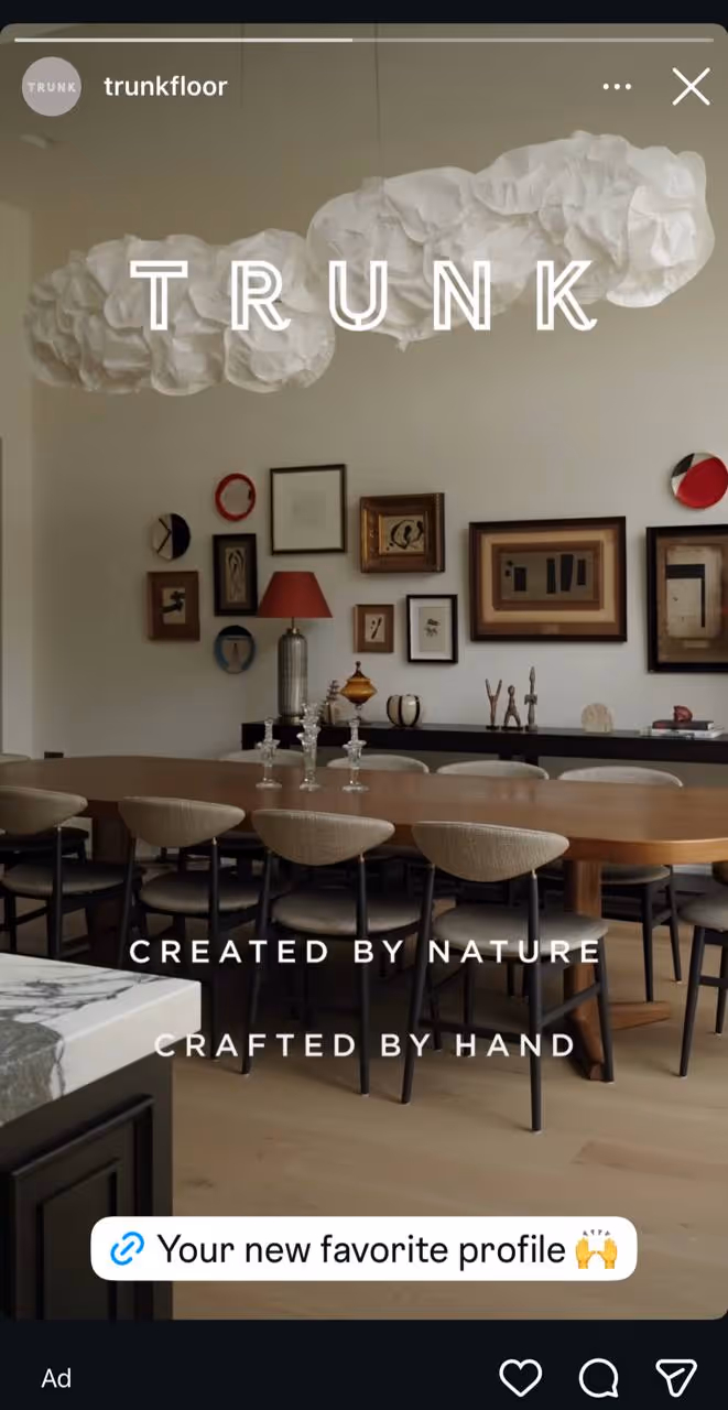 Video ad Instagram Stories