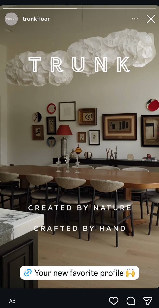 Video ad Instagram Stories