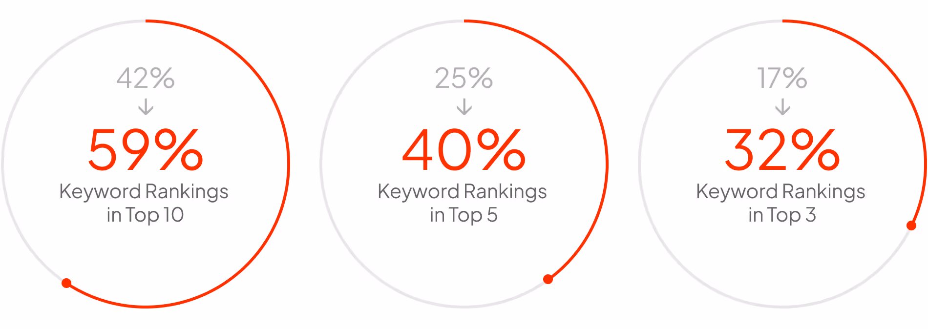 seo case study results