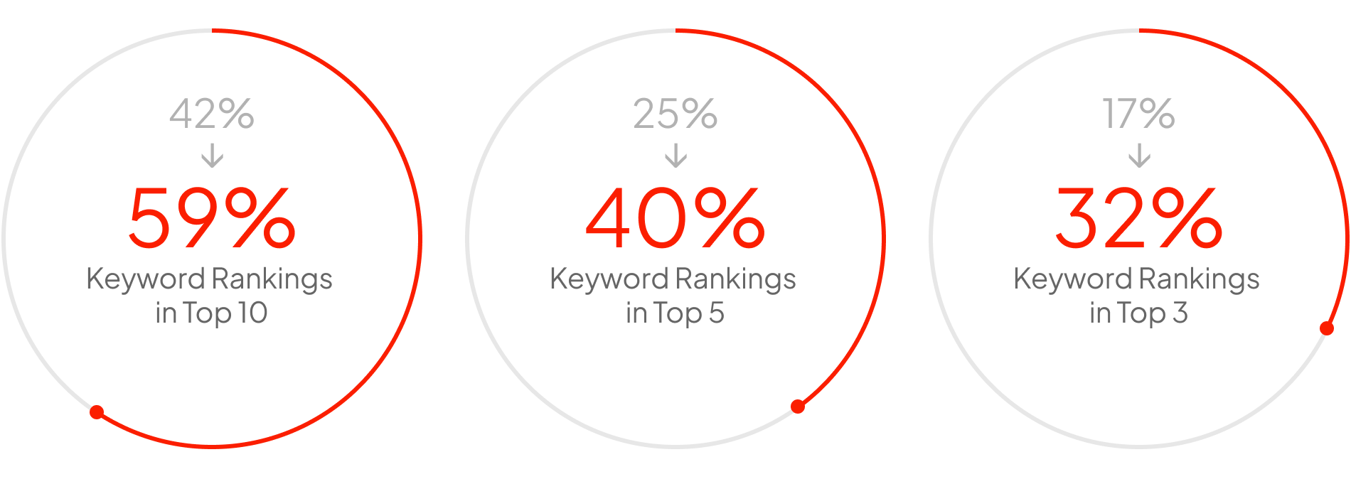 seo case study results