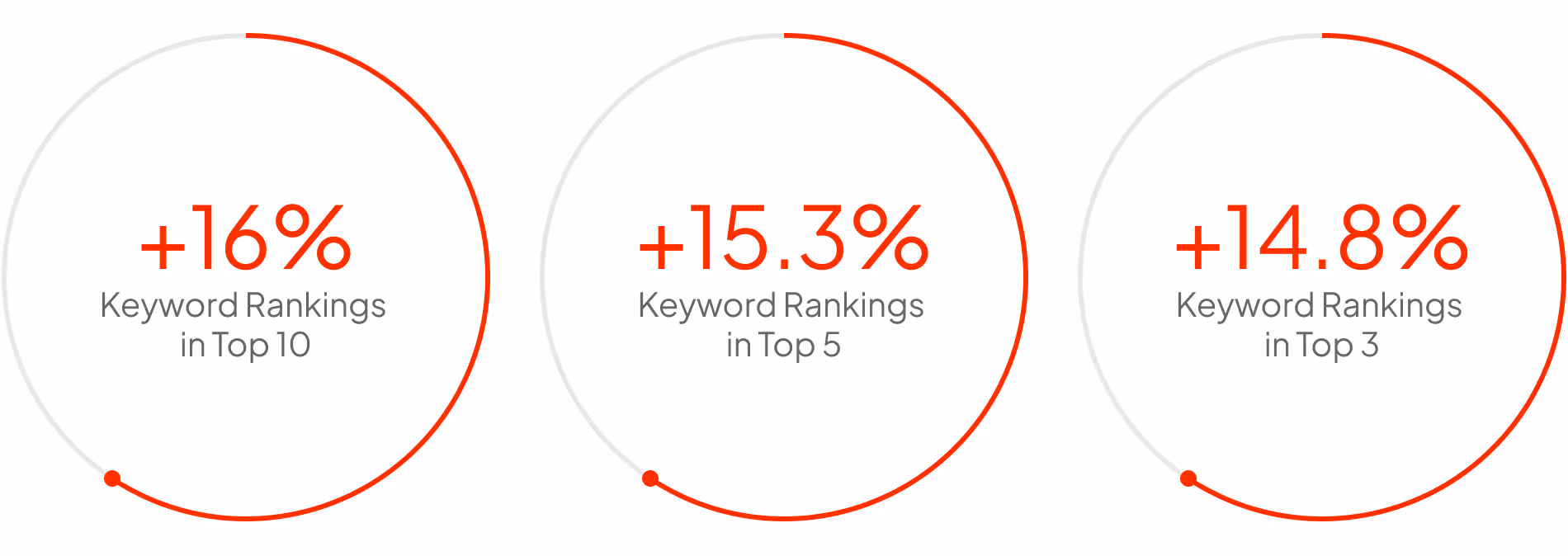 seo case study results