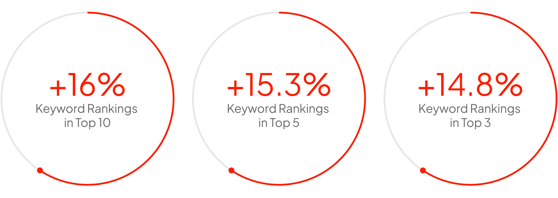 seo case study results