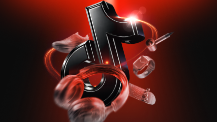tiktok ads formats