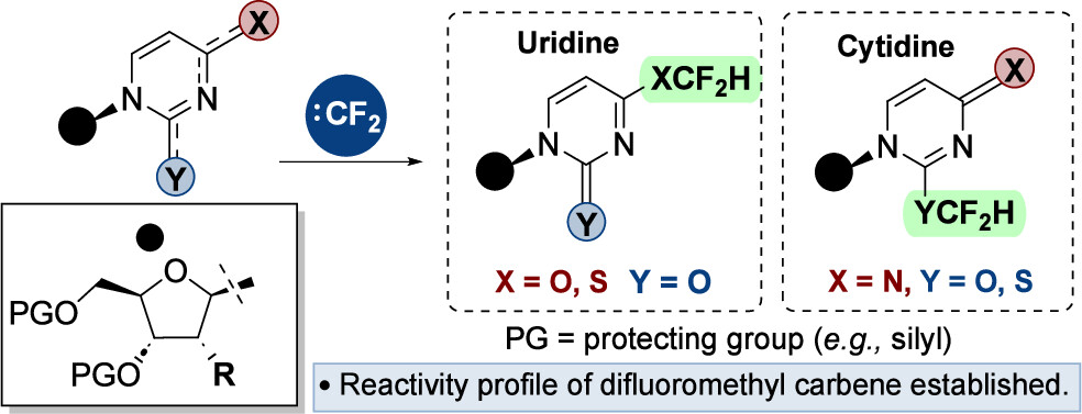 116. Chemoselective Difluoromethylation of Nucleosides
