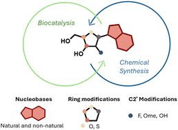 115. Preparation of nucleoside analogues: opportunities for innovation at the interface of synthetic chemistry and biocatalysis