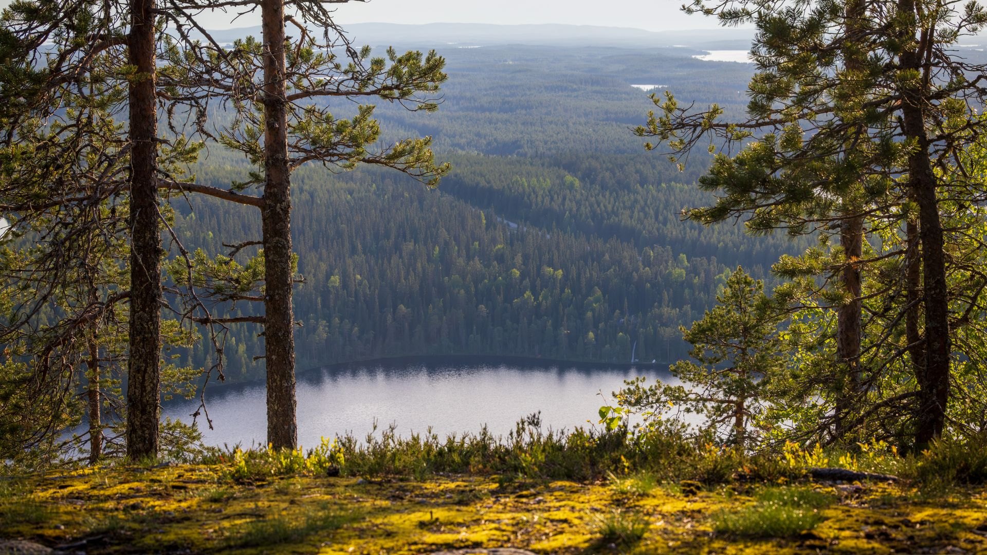 Landscape in Finland