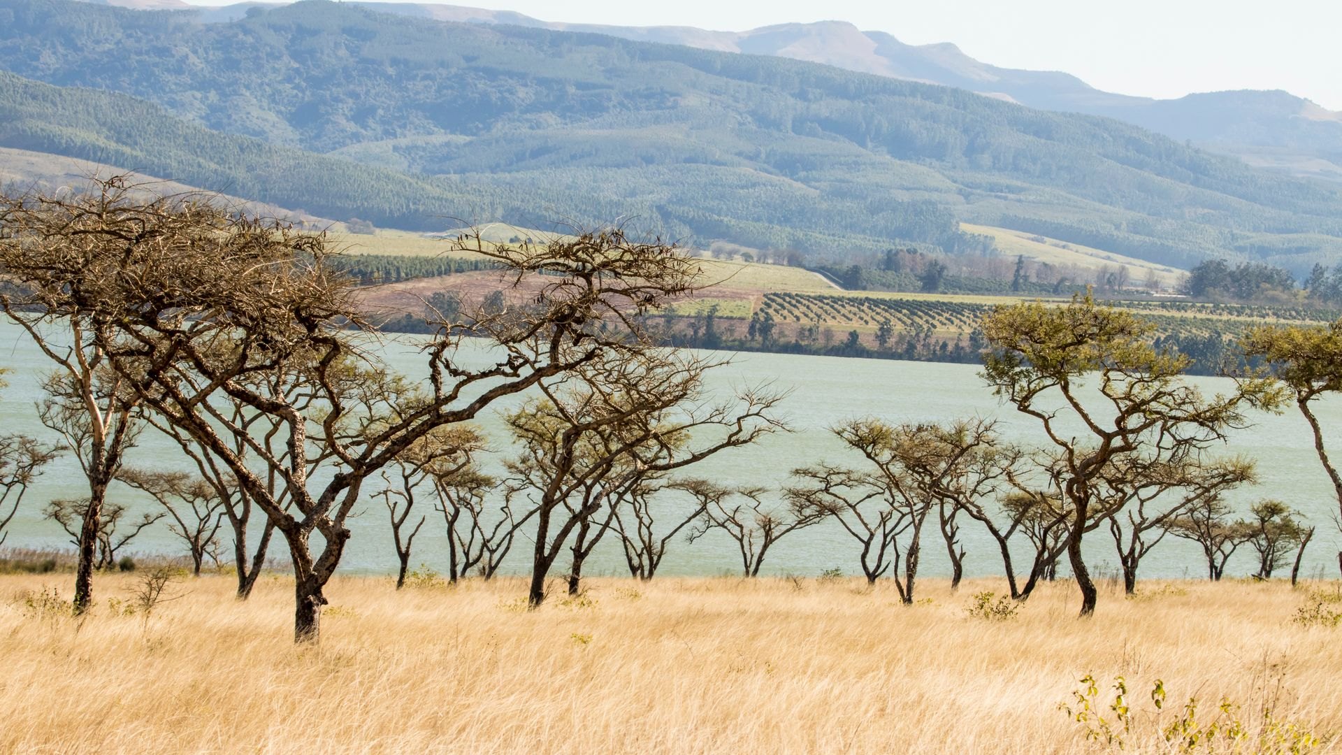 Landscape in Zimbabwe