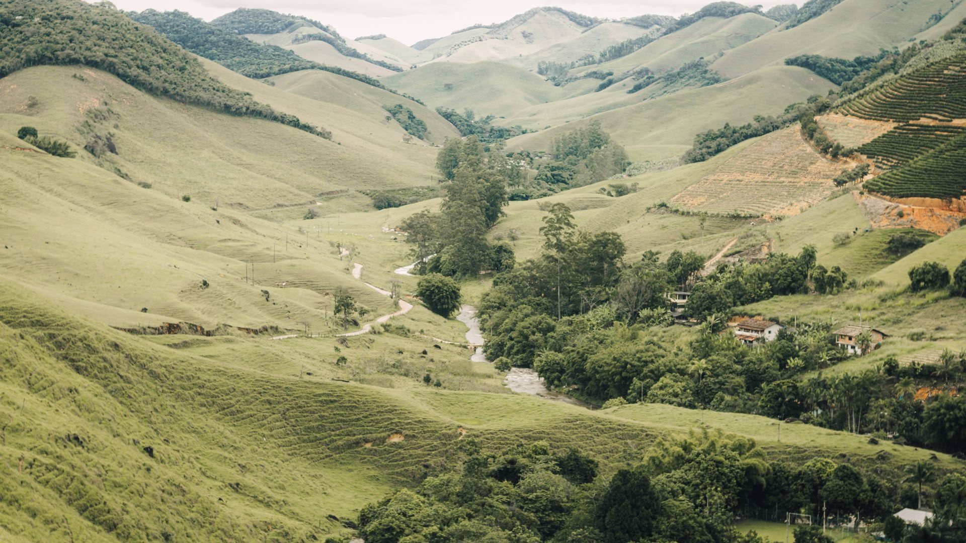 Landscape in Uganda