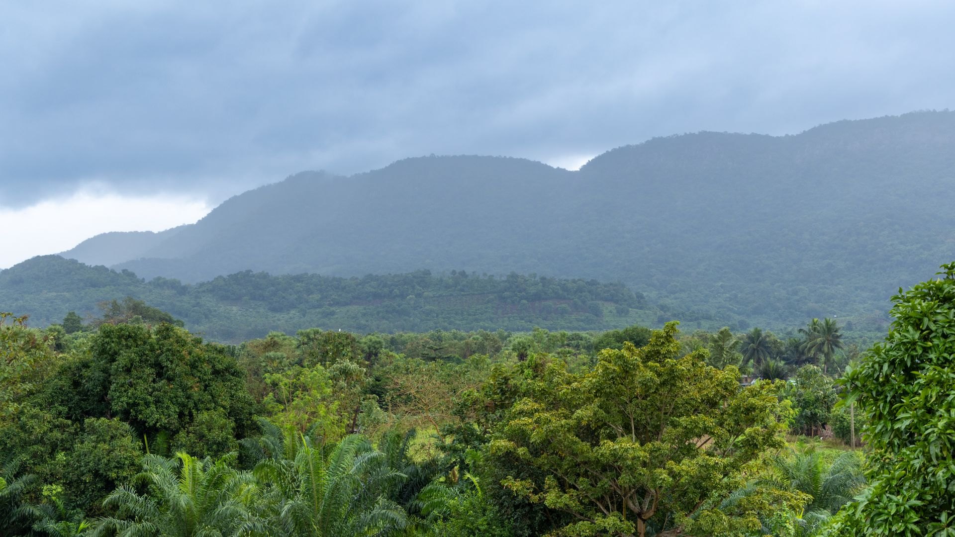 Landscape in Cameroon