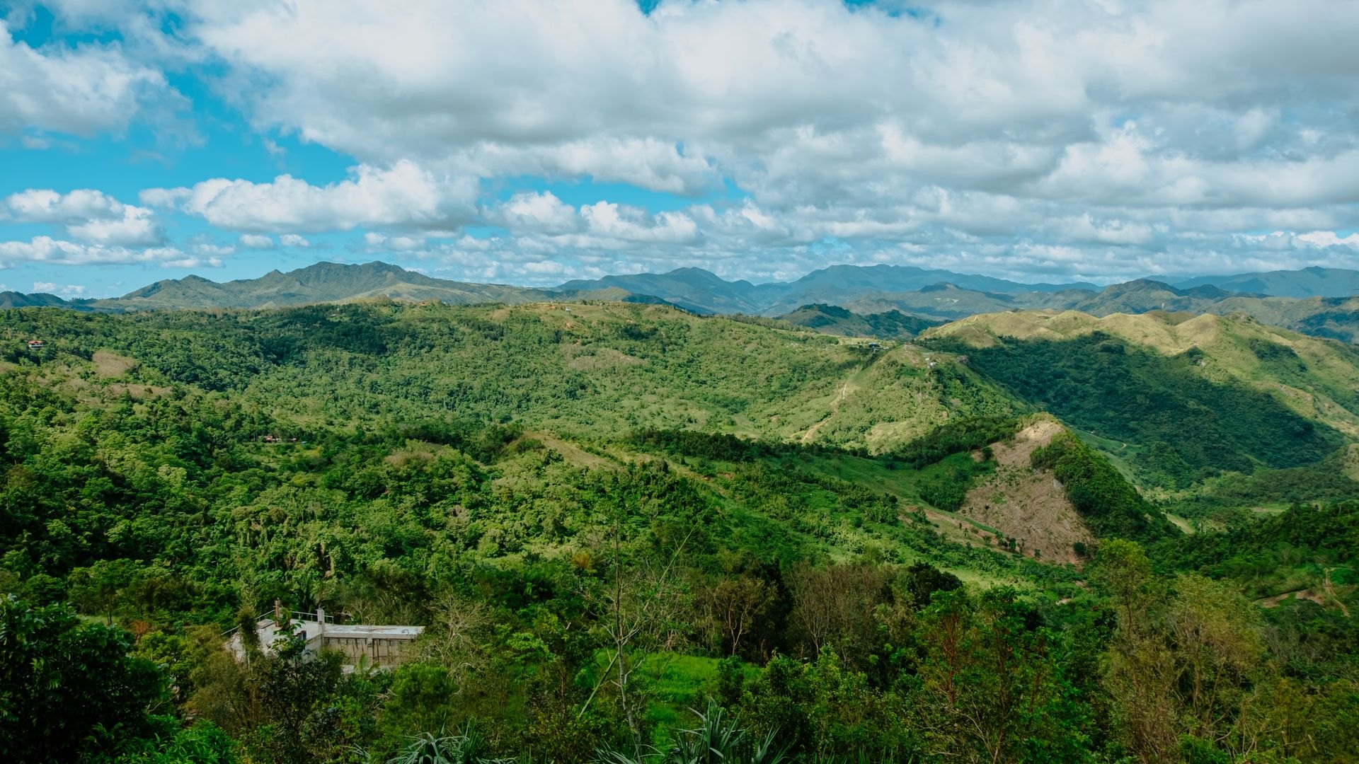 Landscape in Jamaica