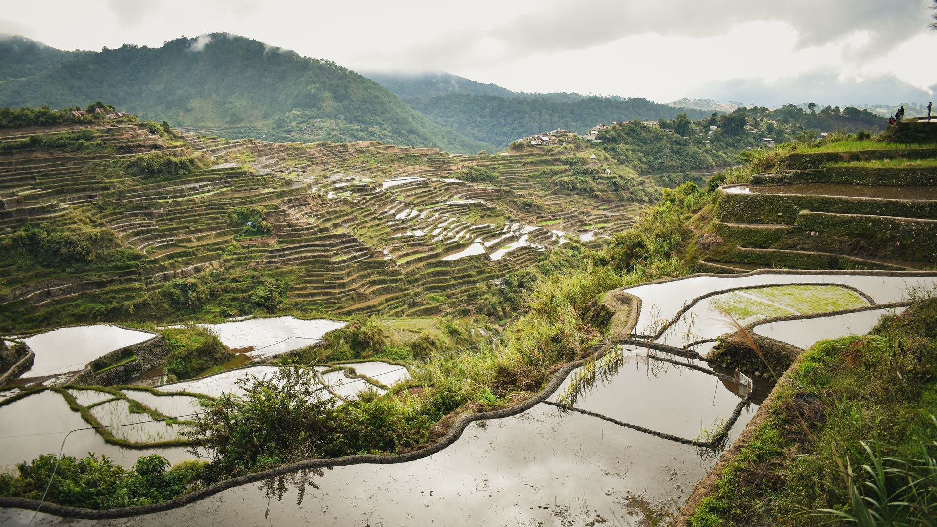 Landscape in the Philippines