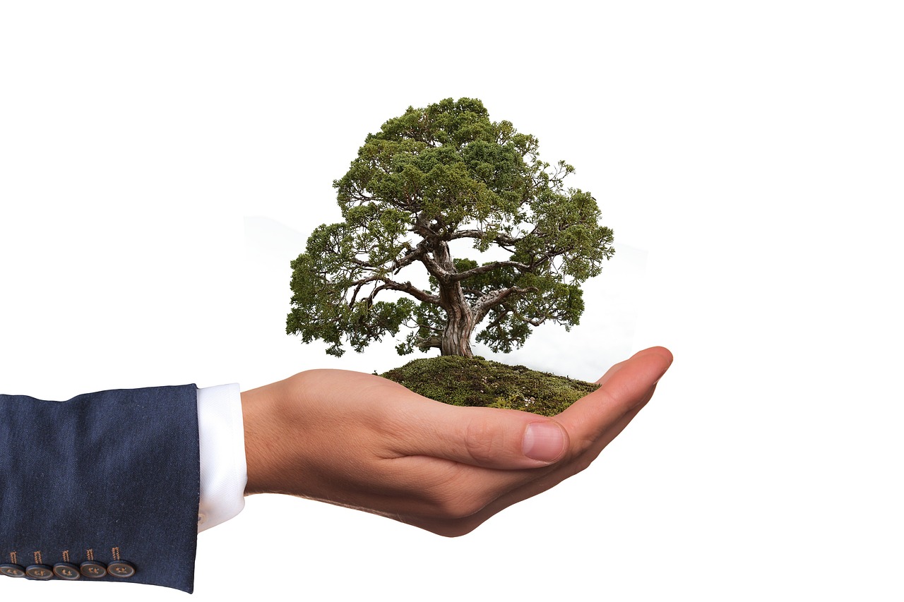 The growing Trend of eco-friendly funerals.