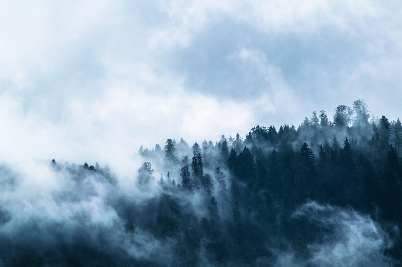Exploring Diverse Funeral Options for Meaningful Farewells.