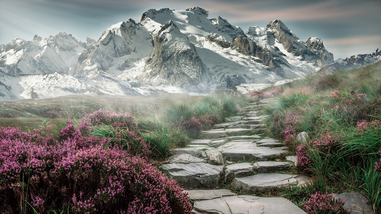 What you need to know about repatriations.