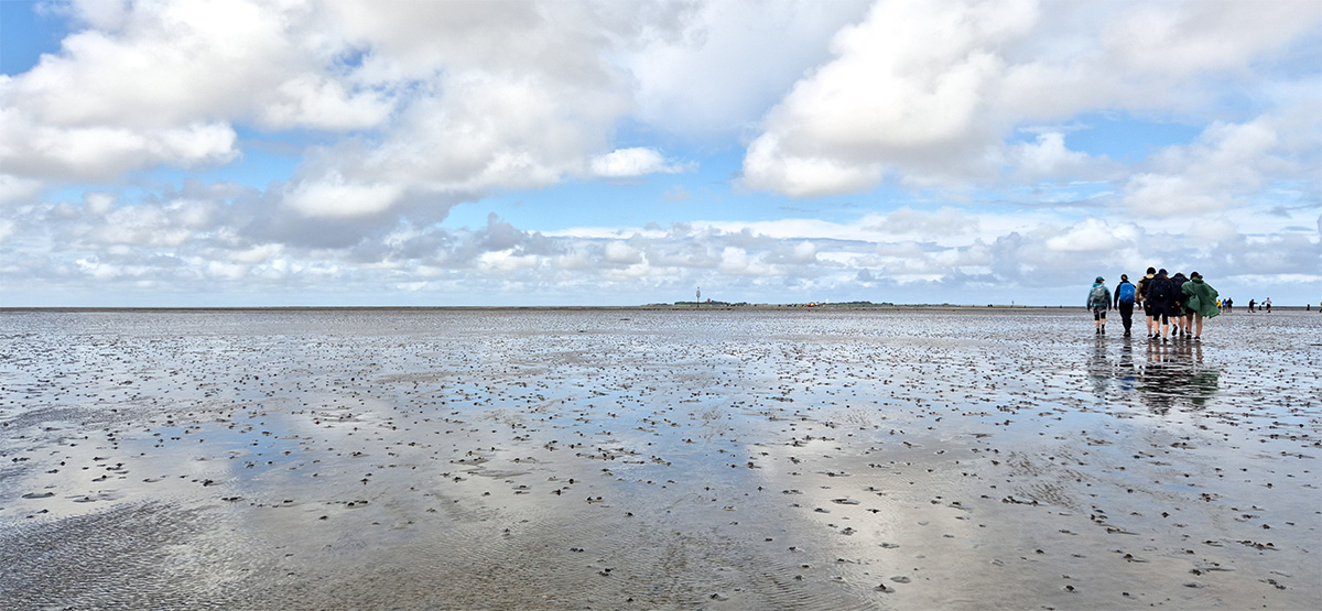 Wattenmeer