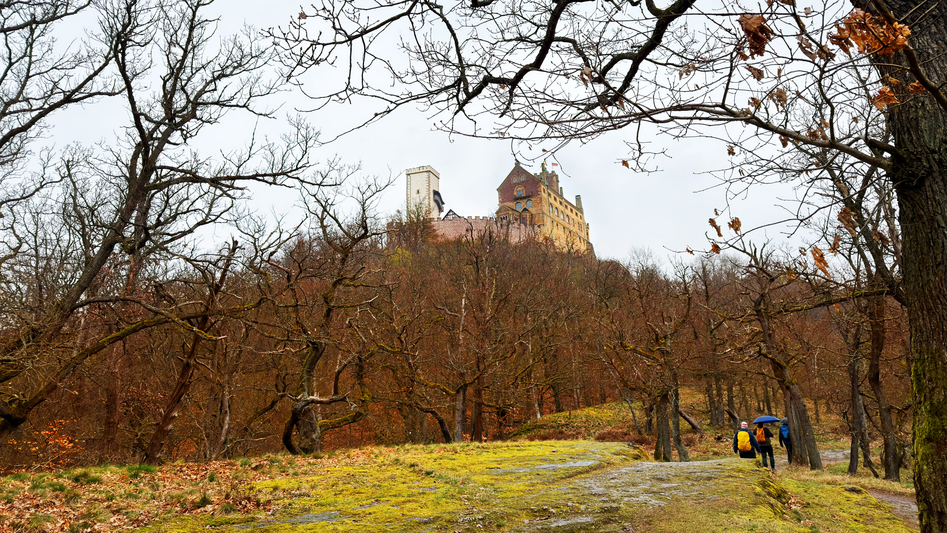 Wanderer mit Regenschirmen auf Waldweg unterhalb der Wartburg auf Hügel in herbstlicher Landschaft bei trübem Wetter
