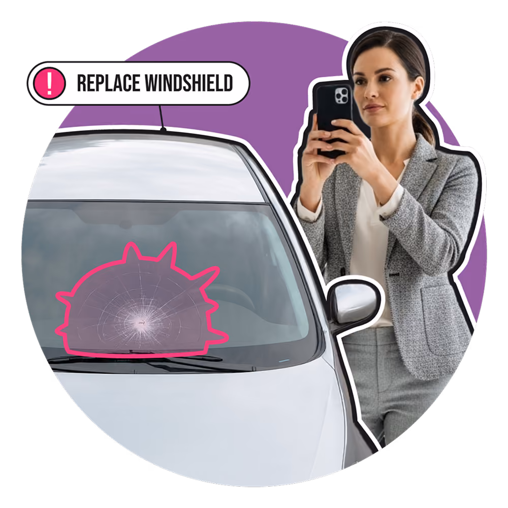 Windshield damage detection