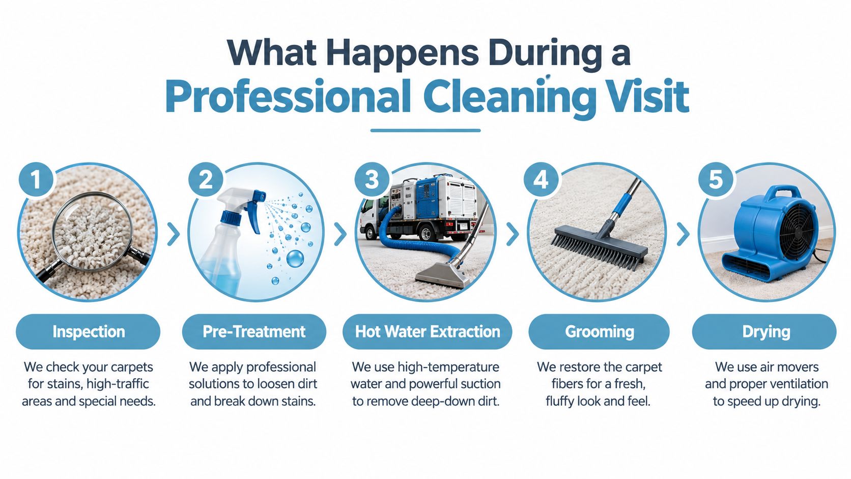 A five-step infographic showing the professional carpet cleaning process from inspection to drying.