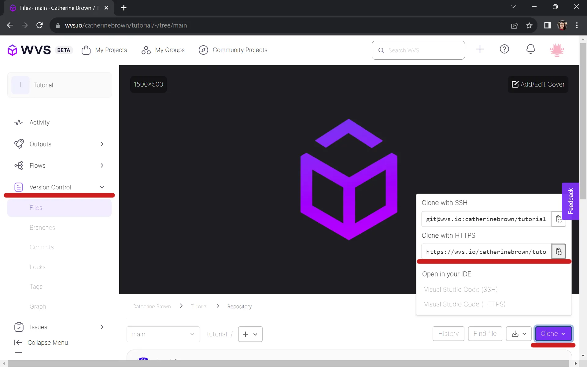 Click on "Version Control", then "Clone", then copy the HTTPS URL